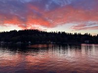 IMG_3658.jpeg