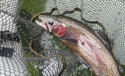 IMG_6707.jpeg