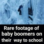 IMG_4184.jpeg