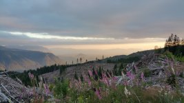 20160806_201036.jpg