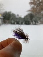 IMG_3610.jpeg