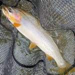 20200920_105437.jpg