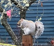 IMG_5769.jpeg