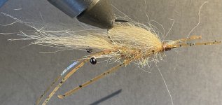 IMG_0162.jpeg