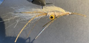 IMG_0164.jpeg