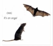 IMG_5359.jpeg