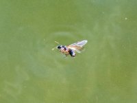 620F3000-B7C9-4676-AE80-FC59C3F8A801.jpeg