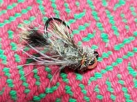 20220223_084013.jpg