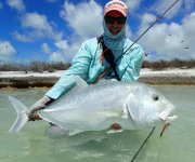 Giant Trevally.jpg