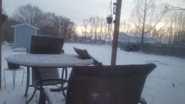 20220224_065110.jpg