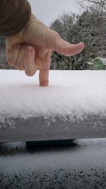IMG_20220224_074129961.jpg