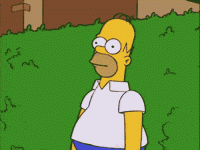 1645742071071.gif