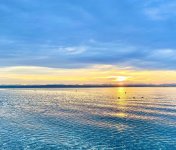 487B909D-46C0-4EDA-A2CB-C4281CA8EC7A.jpeg