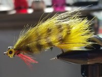 20220226_114219.jpg