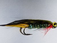 20220226_121616.jpg