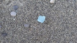 8F7A71D6-C987-46F0-9445-EAB25673E91A.jpeg