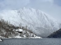 Pic 7.jpg