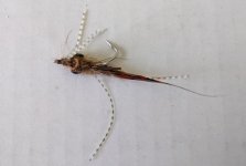 Bonefish Fly_022722.jpg Bonefish Fly_022722.jpg