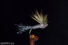 DSC_0105 - edit 1.jpg