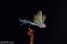 DSC_0106 - edit 1.jpg