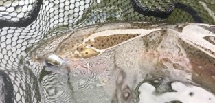 IMG_E4575[1].JPG