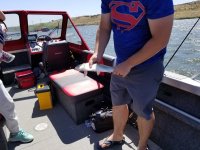 20190619_shad.jpg 20190619_shad.jpg