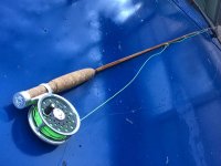 IMG_3487.jpeg