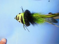 nightfly2.JPG nightfly2.JPG