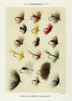 Hackles.jpg