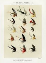 Trout 7.jpg