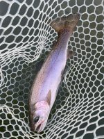 IMG_1669.jpeg