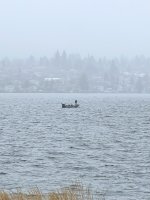 IMG_3245.jpeg