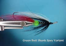 Green Butt Skunk Spey.jpg
