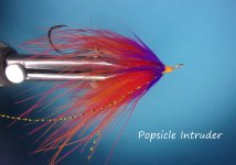 Popsicle Intruder.jpg