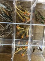 IMG_2683.jpeg