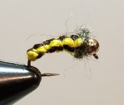 20231205_200109.jpg 20231205_200109.jpg