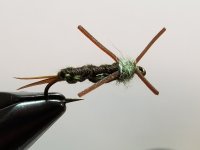 20231206_075451.jpg