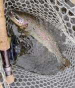 20231206_ssbhfish.jpg