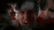 IMG_8144.gif
