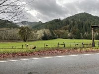 IMG_2597.jpeg