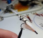 IMG_20231207_211002977.jpg