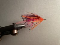 IMG_2604.jpeg