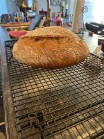 IMG_1613.jpeg IMG_1613.jpeg