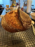 IMG_1619.jpeg IMG_1619.jpeg