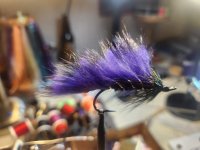 20231208_185531.jpg