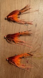 IMG_2947.jpeg