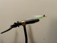 IMG_4778.jpeg