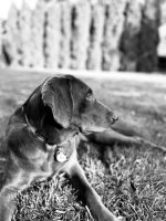IMG_0654.jpeg