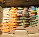PXL_20231210_020613478~2.jpg