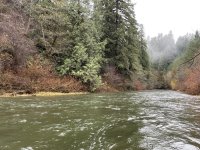 IMG_2616.jpeg